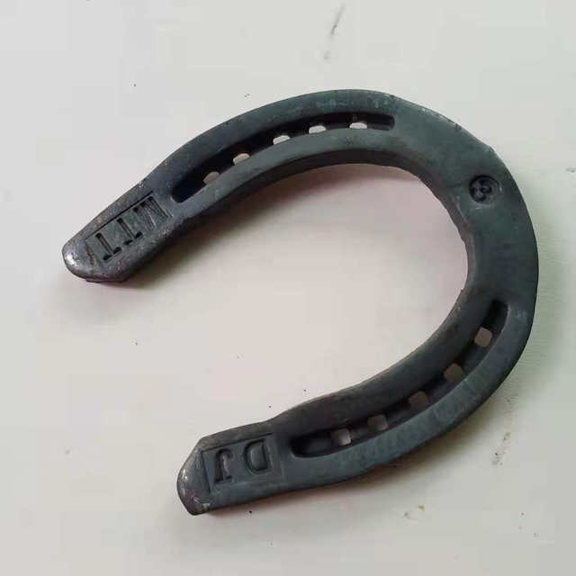 Steel Horseshoe