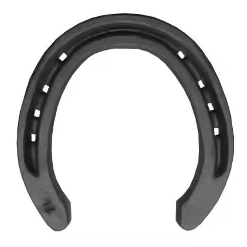 Steel Horseshoe