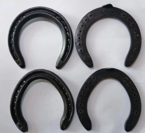 Steel Horseshoe