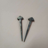 Horseshoe Nail 