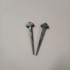 Horseshoe Nail 