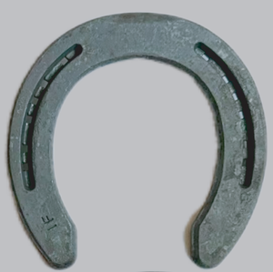 Steel Horseshoe