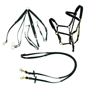 Horse Bridle